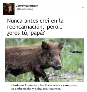 ¿Crees en la reencarnación? Pues...