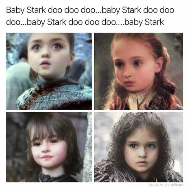 Bebés Stark 