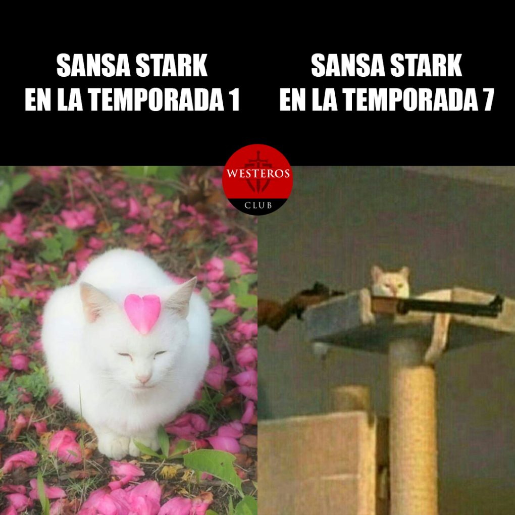 Sansa en cada temporada