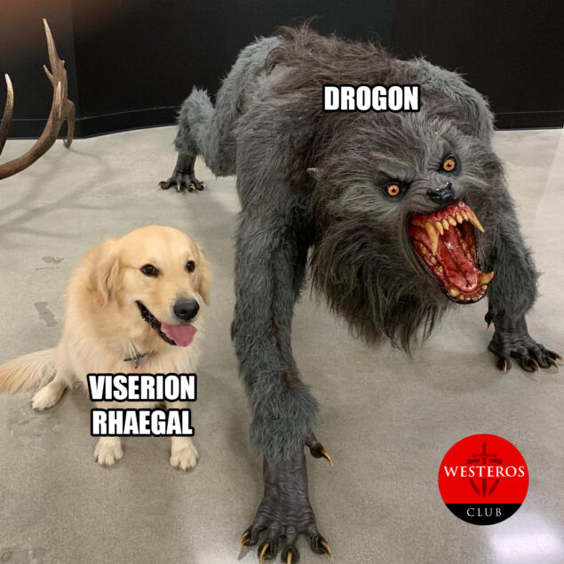 Viserion y Rhaegal contra Drogon 