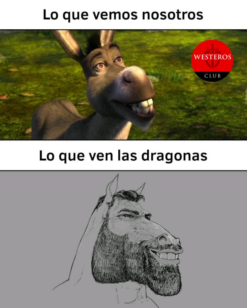 Lo que ven las dragonas