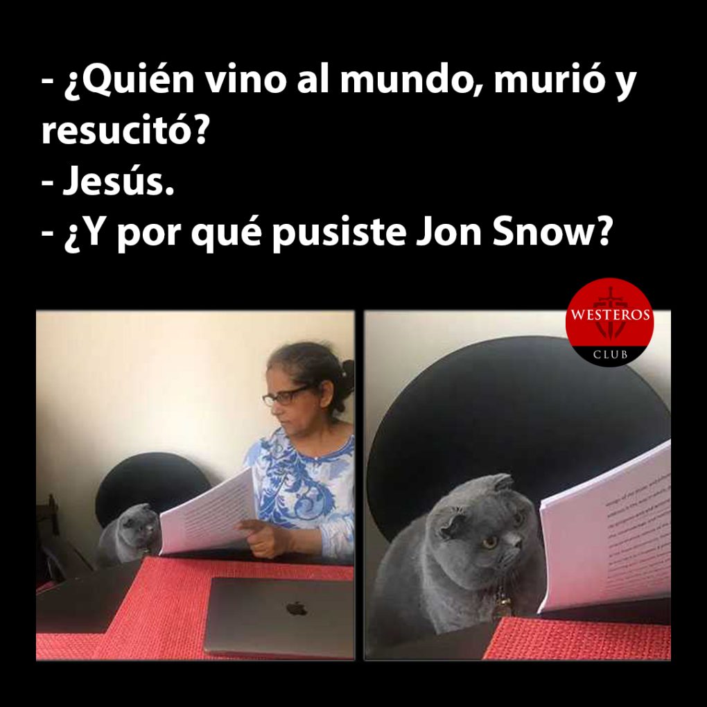 Cuando escribes Jon Snow en el examen