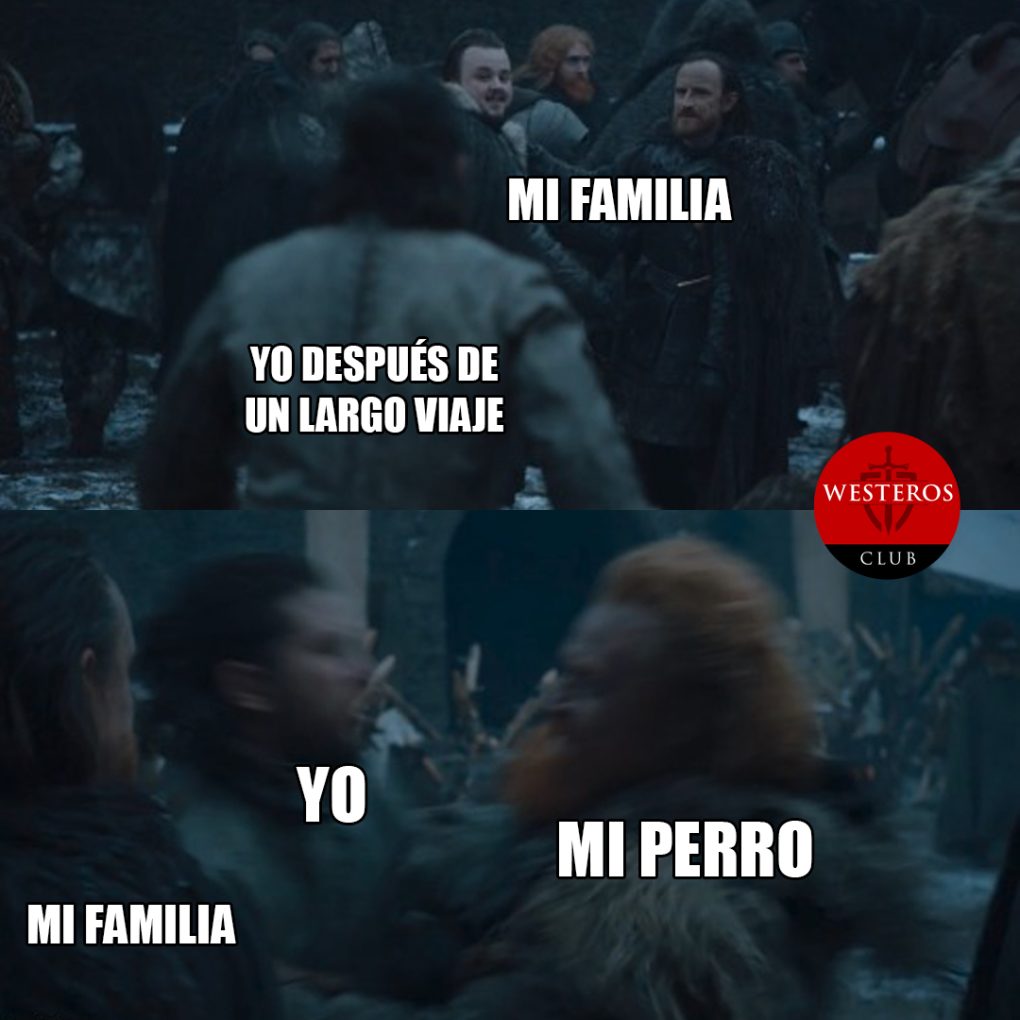 Cuando tu perro te recibe en tu casa