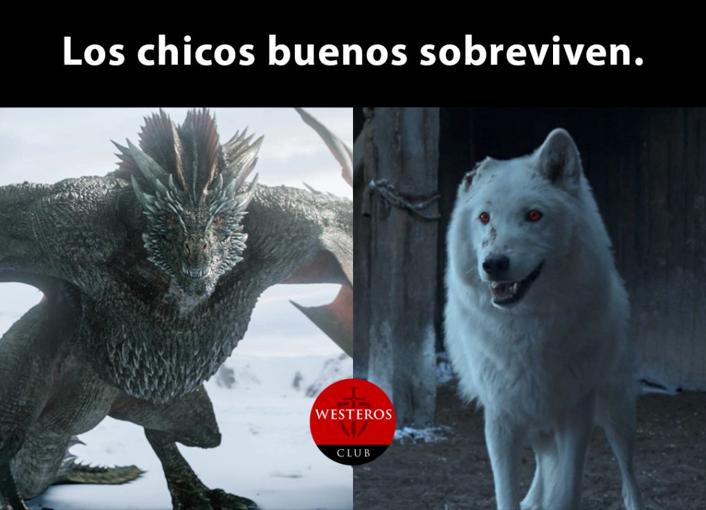 Felizmente Drogon y Ghost sobrevivieron