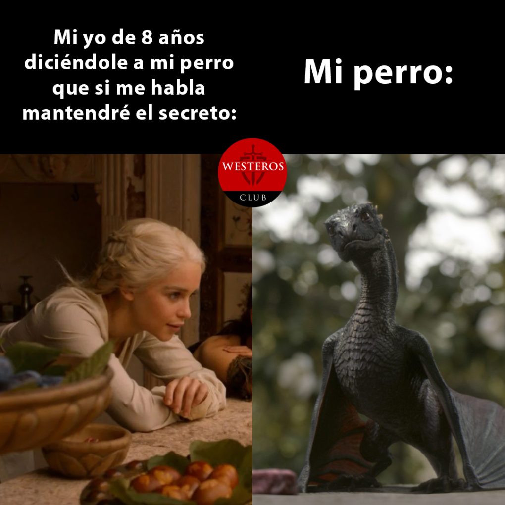 Hablando a mi mascota como Daenerys a Drogon
