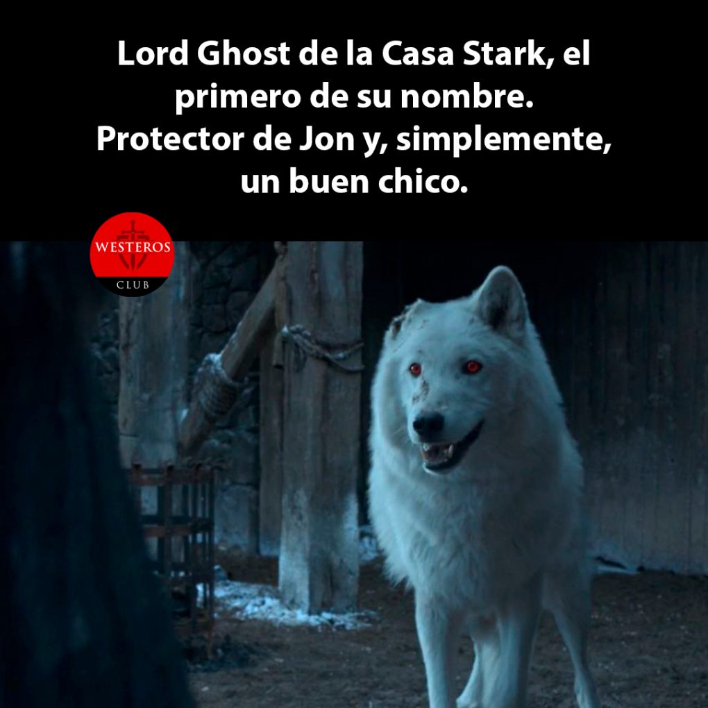 Lord Ghost de la Casa Stark