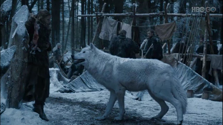 03 Juego de Tronos Conoce a los actores que interpretan a los lobos de los Stark