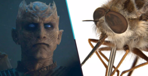 Nombran mosca híbrida como el Rey de la Noche de Juego de Tronos